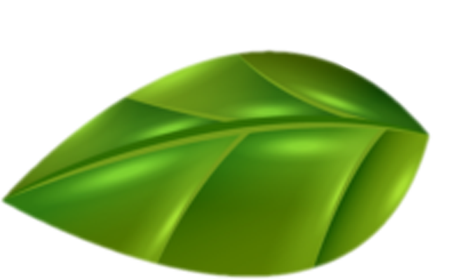 leaf