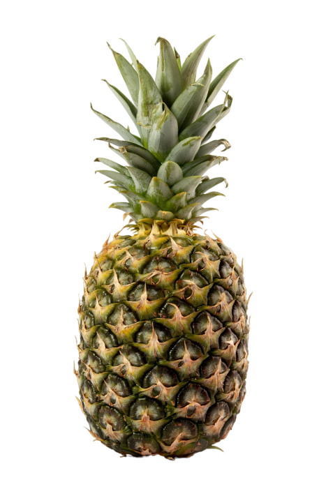 pineapple